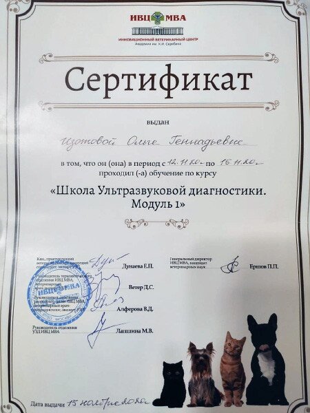 Документ или сертификат