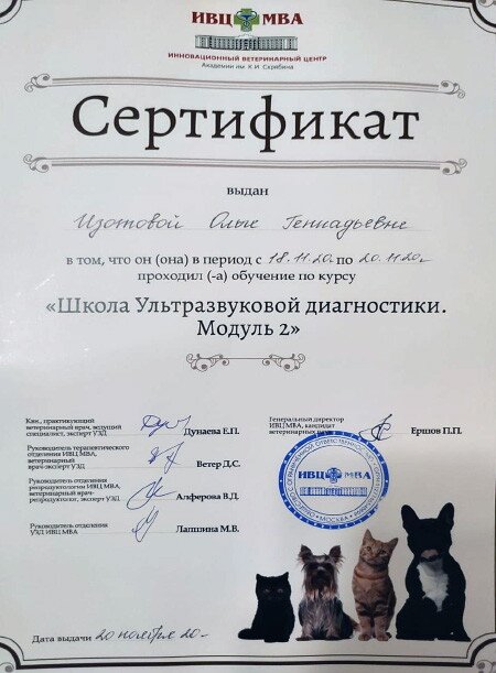 Документ или сертификат