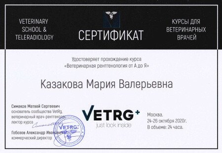 Документ или сертификат