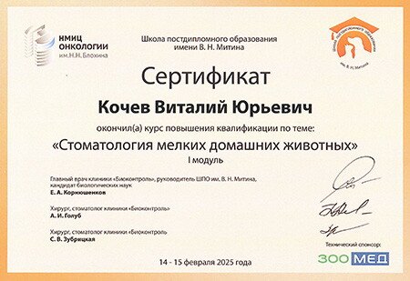Документ или сертификат