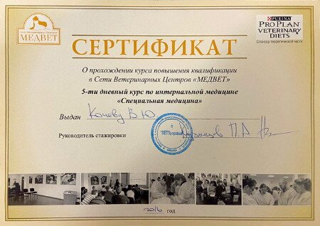 Документ или сертификат