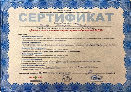 Документ или сертификат