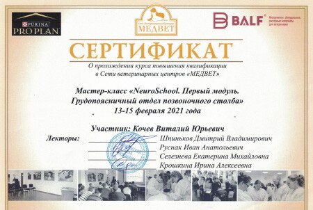Документ или сертификат