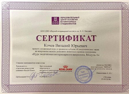 Документ или сертификат