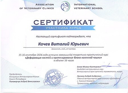 Документ или сертификат