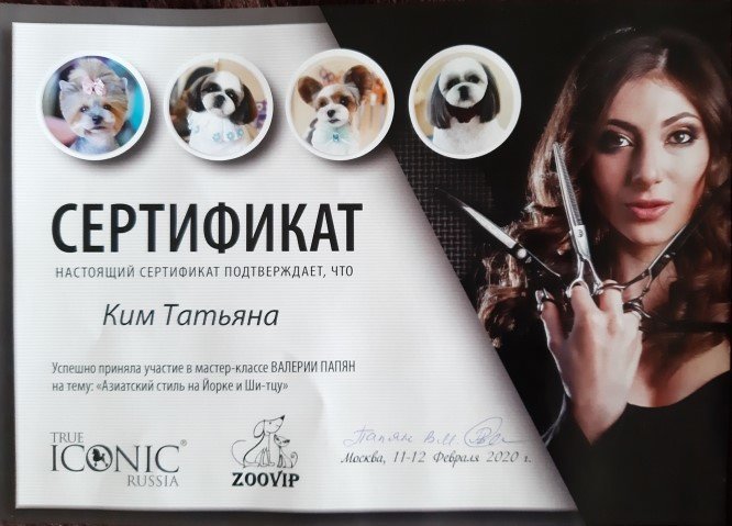 Документ или сертификат