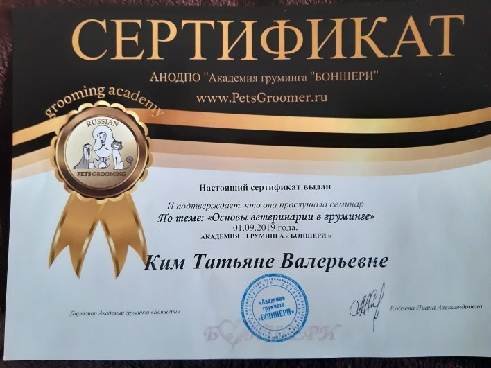 Документ или сертификат