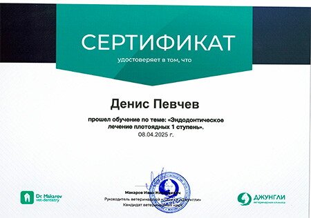 Документ или сертификат