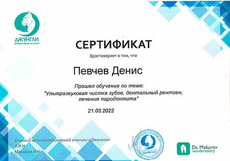 Документ или сертификат