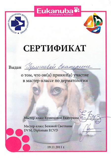 Документ или сертификат
