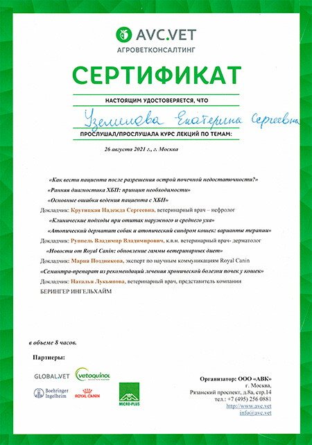 Документ или сертификат