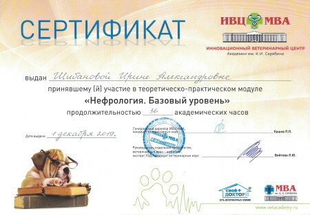 Документ или сертификат