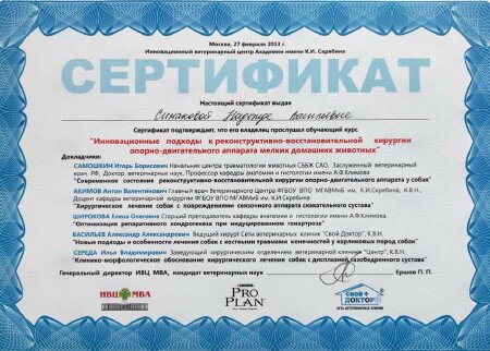 Документ или сертификат