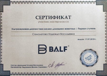 Документ или сертификат
