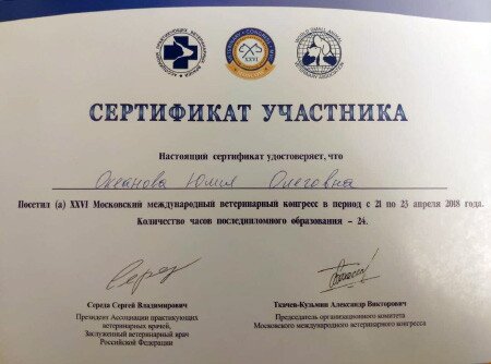 Документ или сертификат
