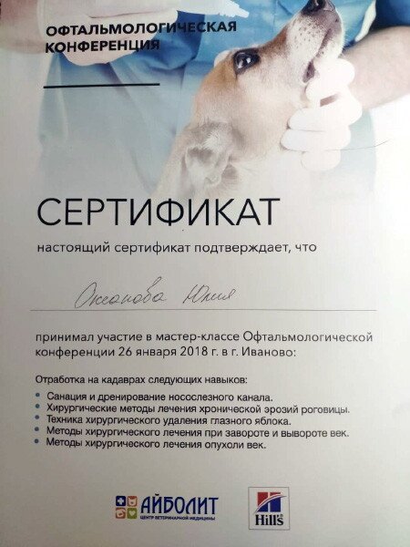 Документ или сертификат
