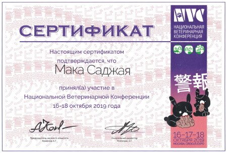 Документ или сертификат