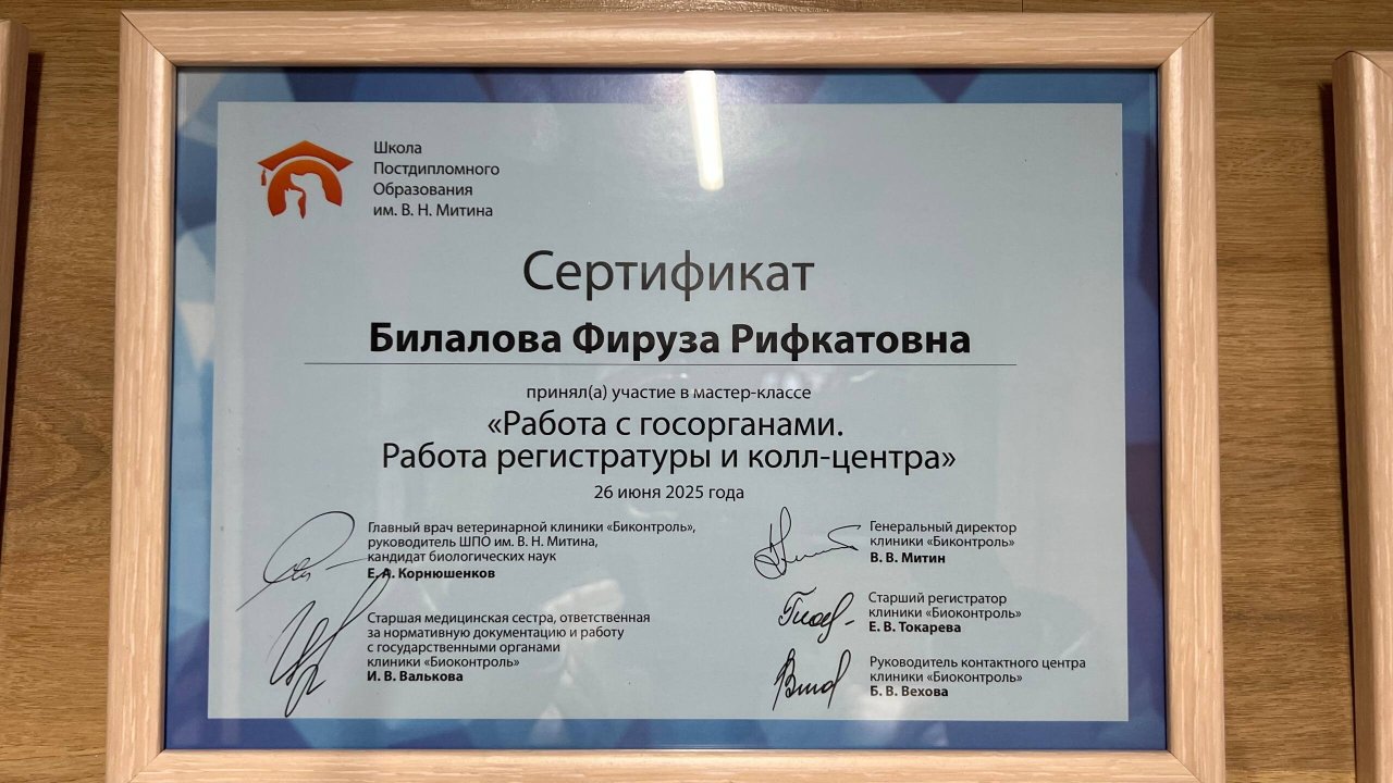 Документ или сертификат