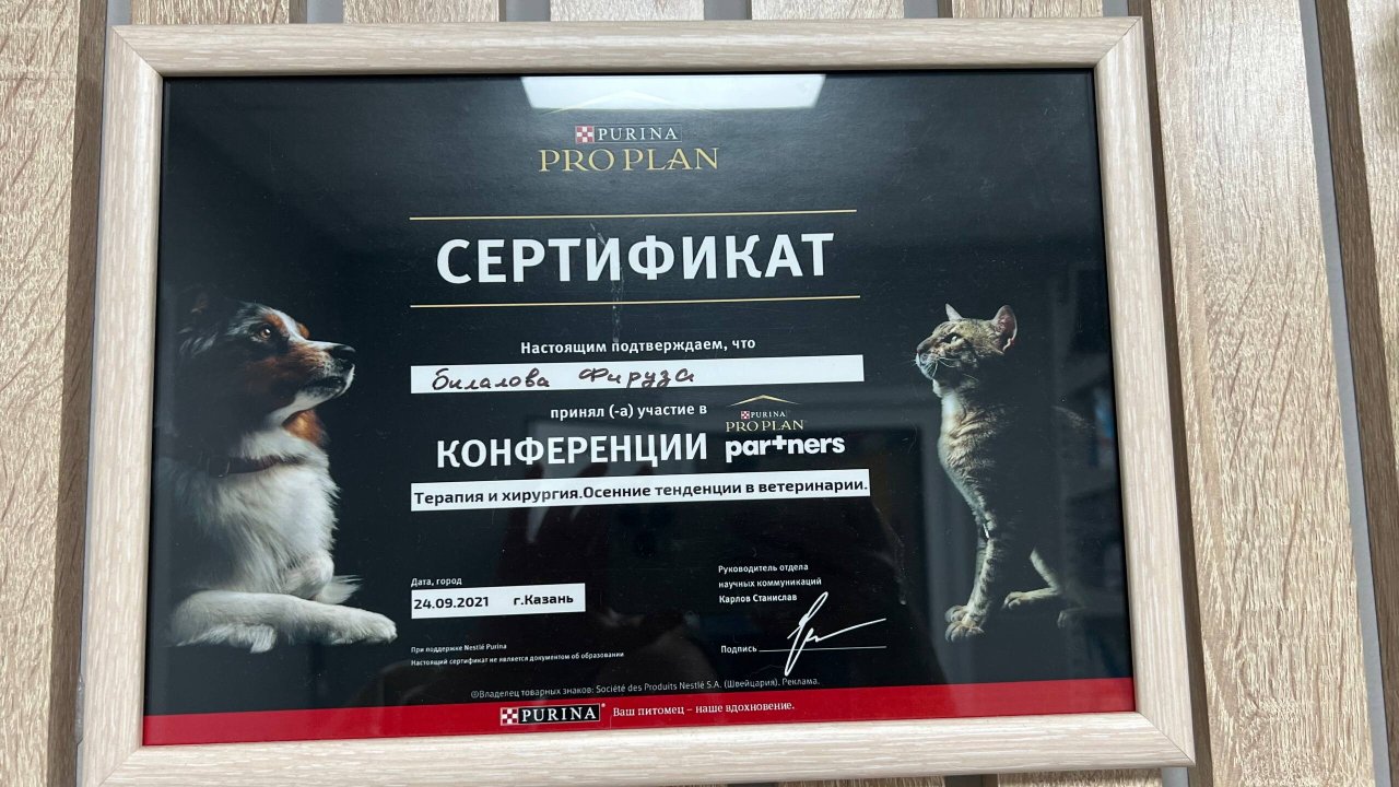 Документ или сертификат