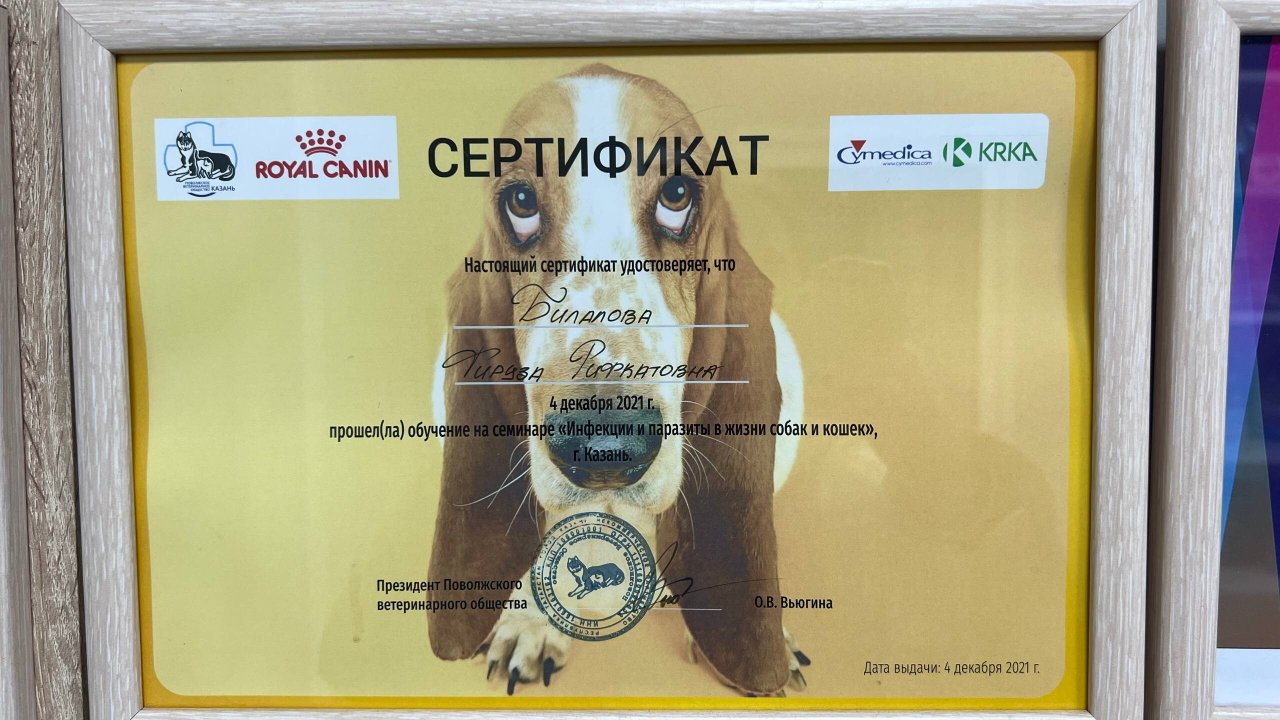 Документ или сертификат