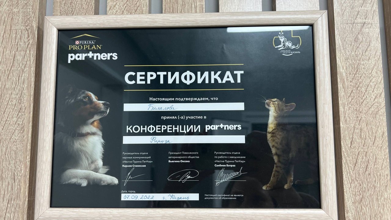 Документ или сертификат