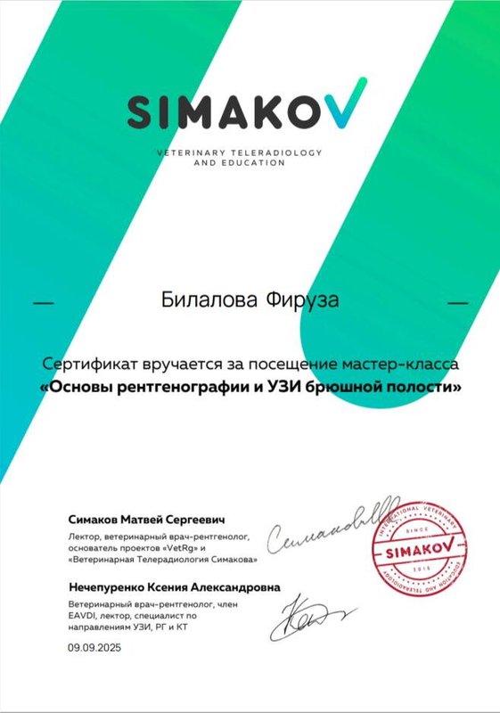 Документ или сертификат