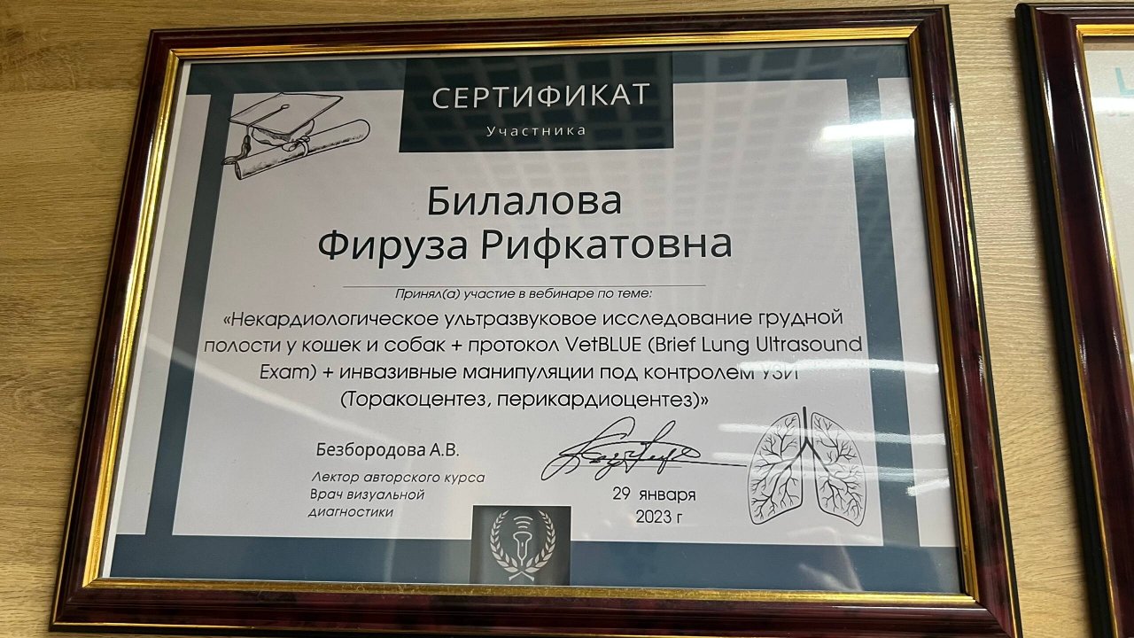 Документ или сертификат