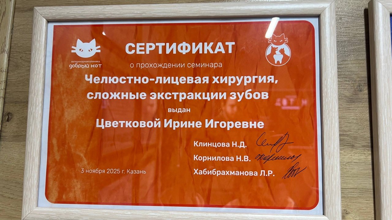 Документ или сертификат