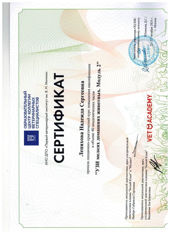 Документ или сертификат