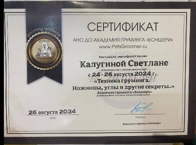 Документ или сертификат