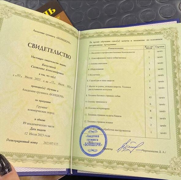 Документ или сертификат