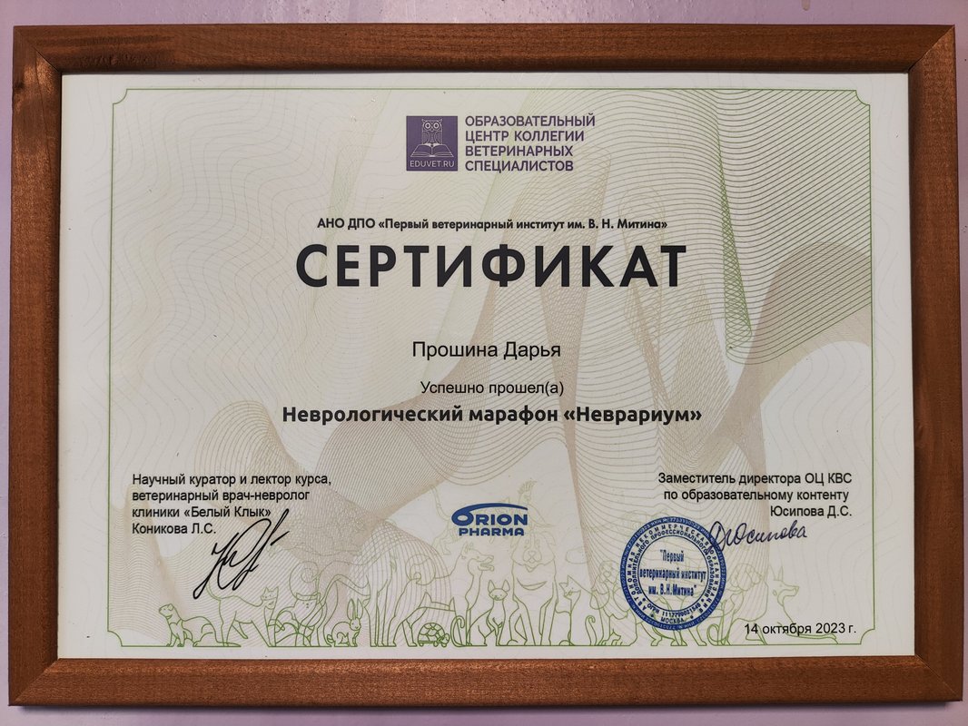 Документ или сертификат
