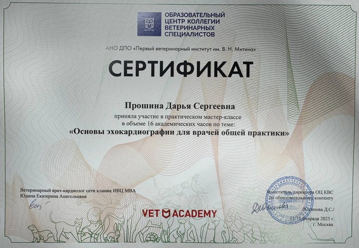 Документ или сертификат