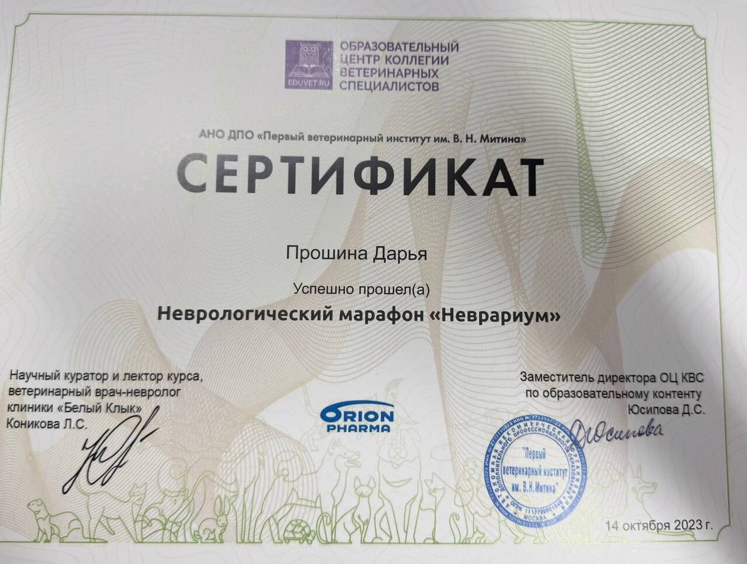 Документ или сертификат