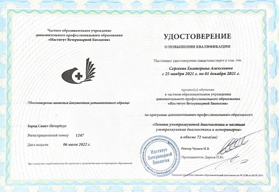 Документ или сертификат