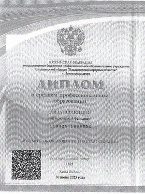 Фото врача Александров Александр Алексеевич