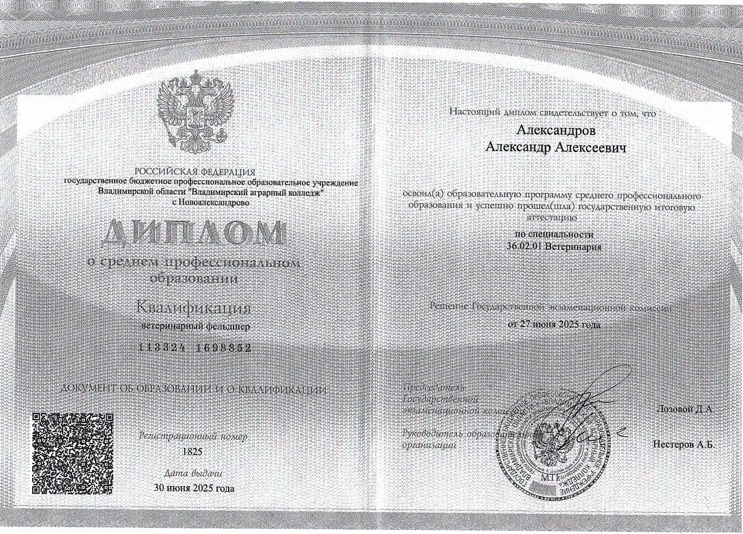 Документ или сертификат