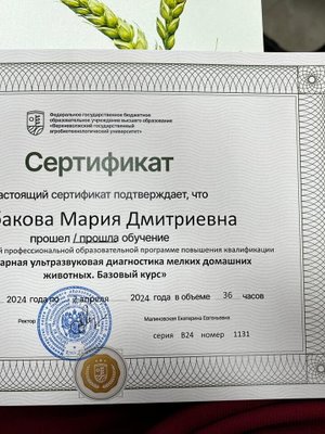 Фото врача Рыбакова Мария Дмитриевна