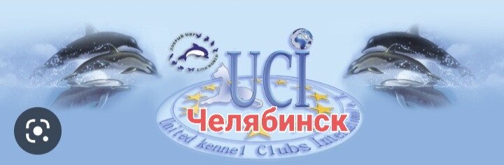 Фото врача