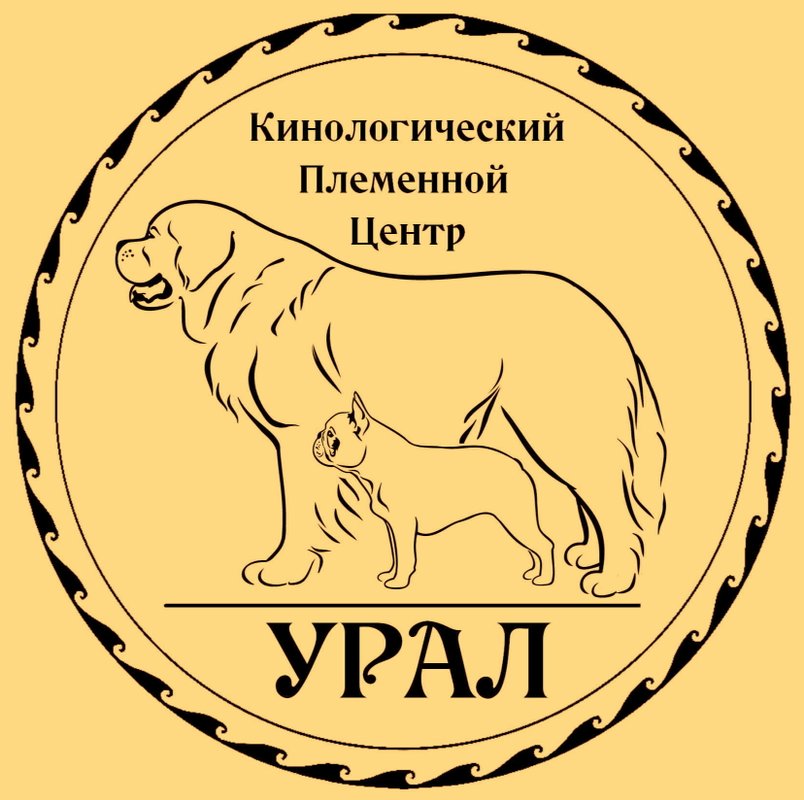 Фото врача