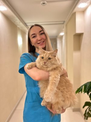 Фото врача Банатова Валентина Александровна