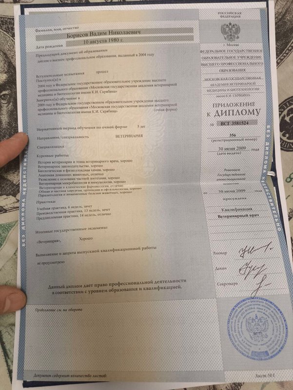 Документ или сертификат
