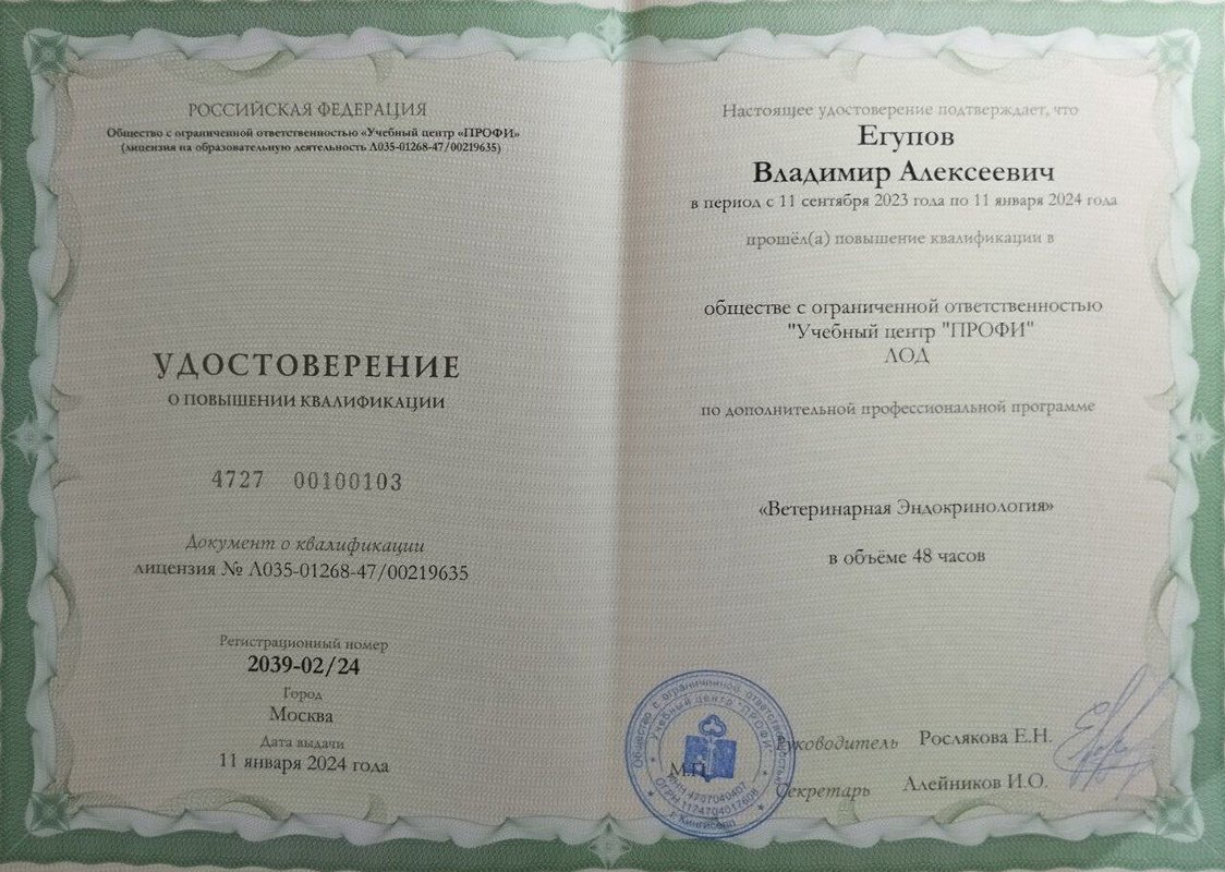 Документ или сертификат