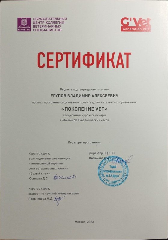 Документ или сертификат