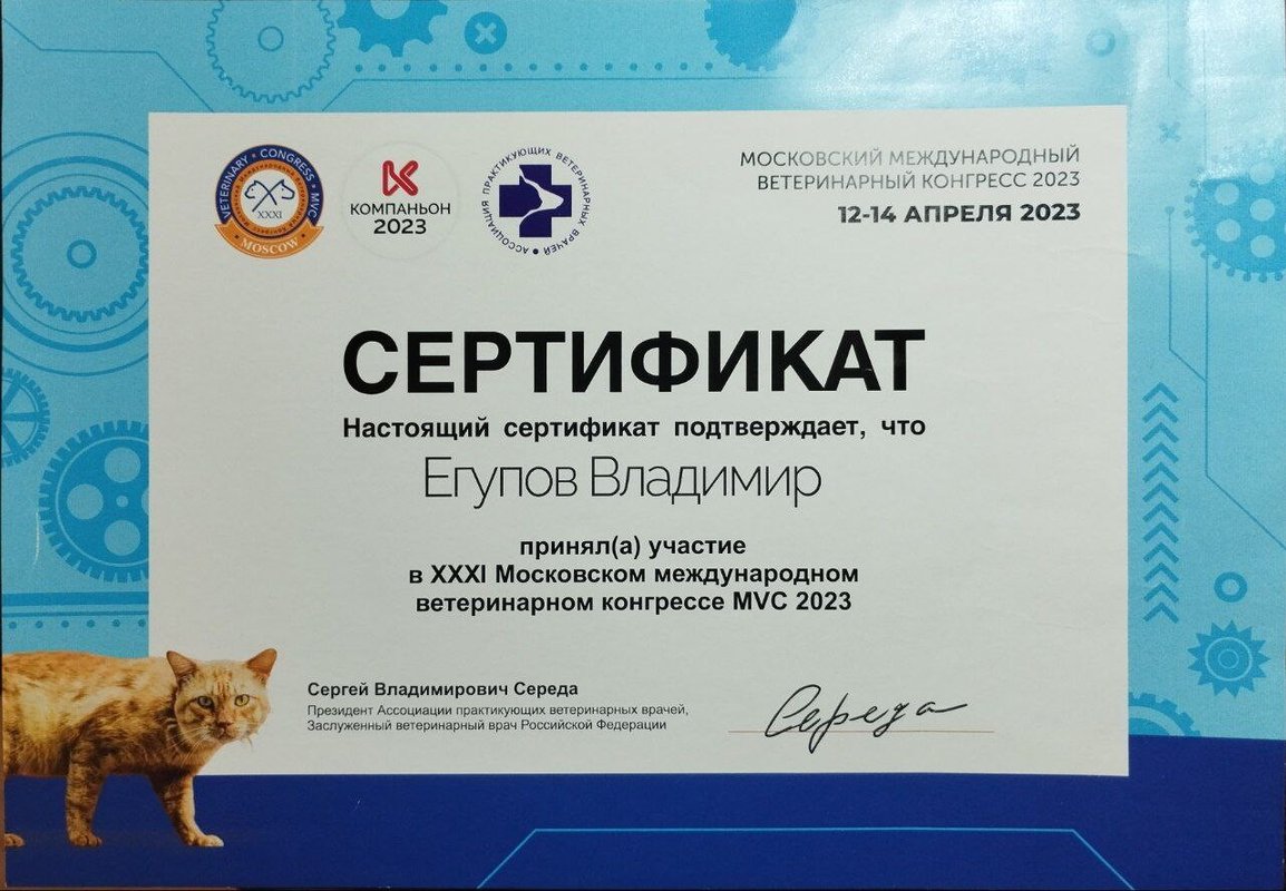 Документ или сертификат
