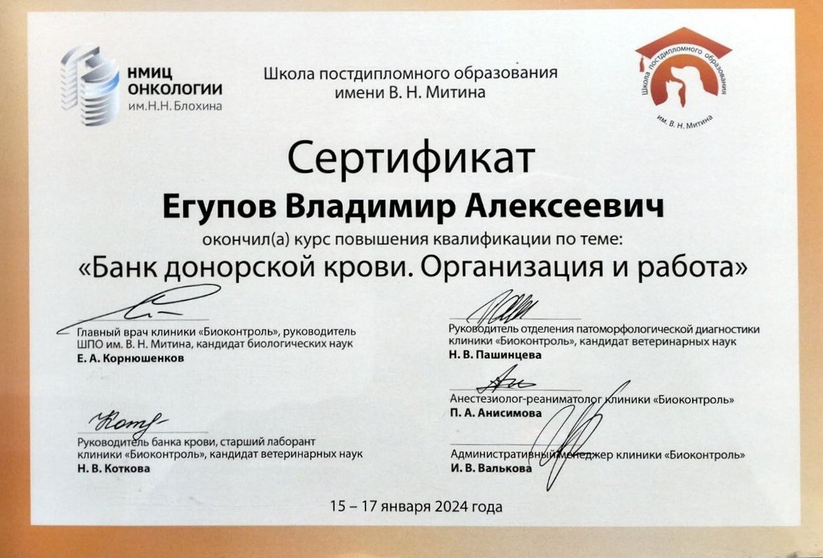 Документ или сертификат
