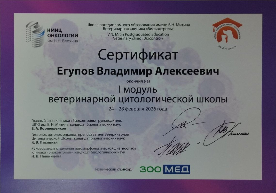 Документ или сертификат