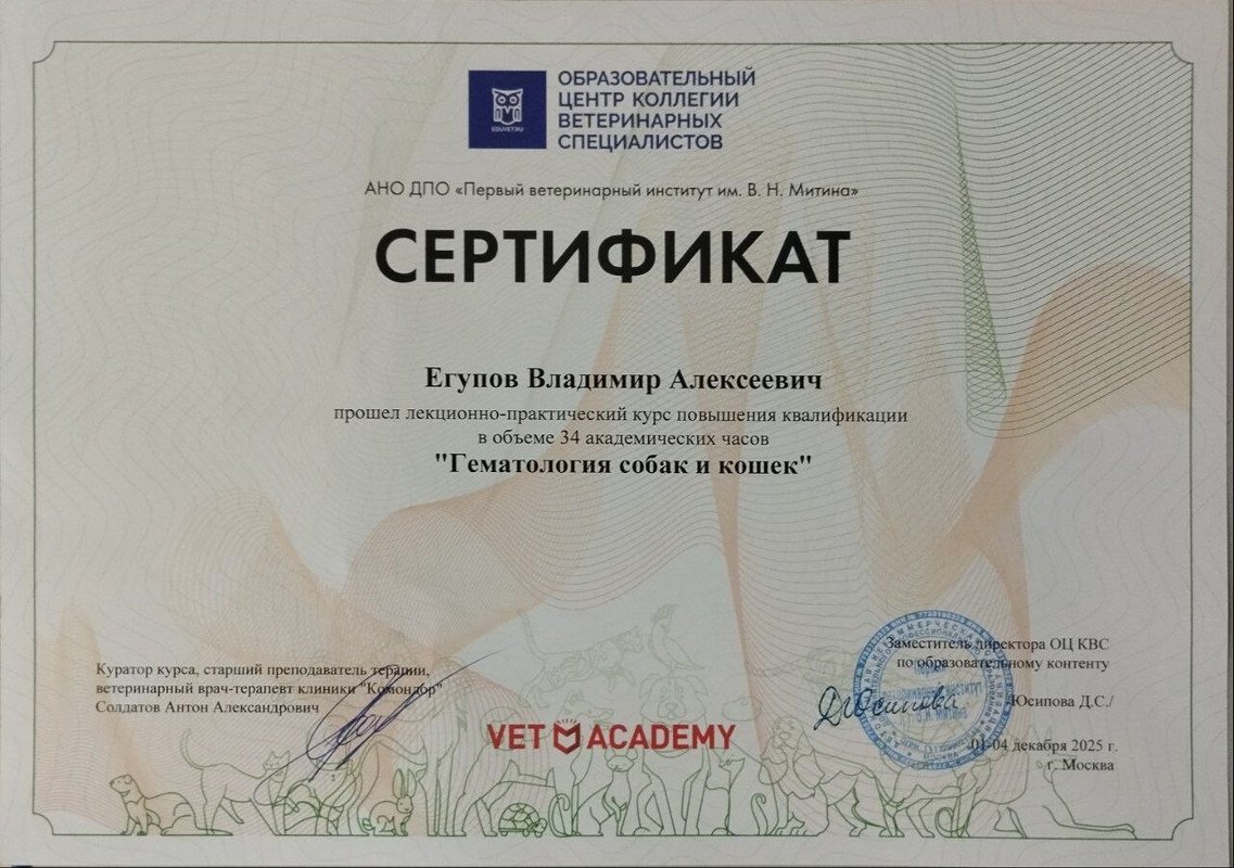 Документ или сертификат