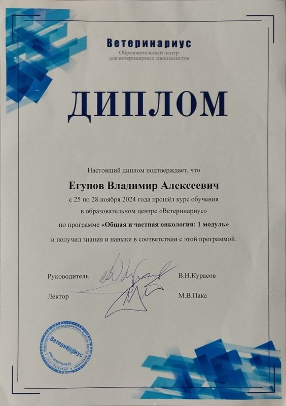 Документ или сертификат