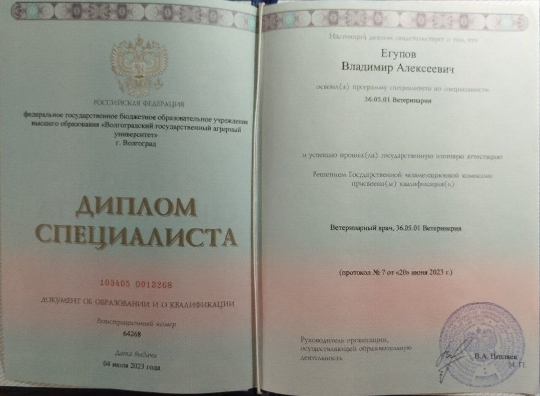Документ или сертификат
